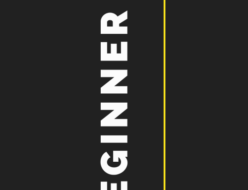 Beginner calisthenics workouts