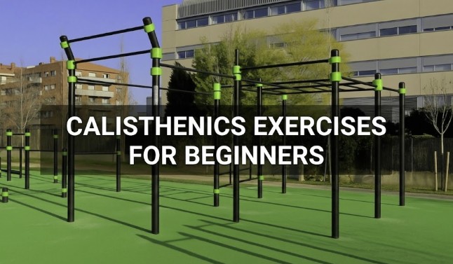 calisthenics exercises for beginners